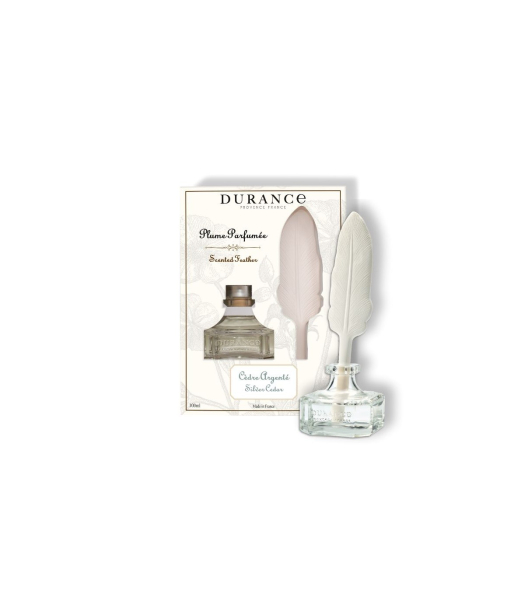 Difuzér s pierkom  100ml Silver Cedar